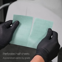 FujiStar Najmi Mint Green 320 Grit 170mm x 130mm Block Sheets (25 Pack)