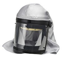 SATA air vision 2000 Air Fed Mask with Waist Belt & Filter