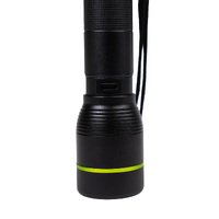 Finixa UV Stone Chip Repair Curing Torch