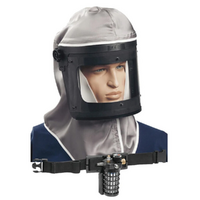 SATA air vision 2000 Air Fed Mask with Waist Belt & Filter